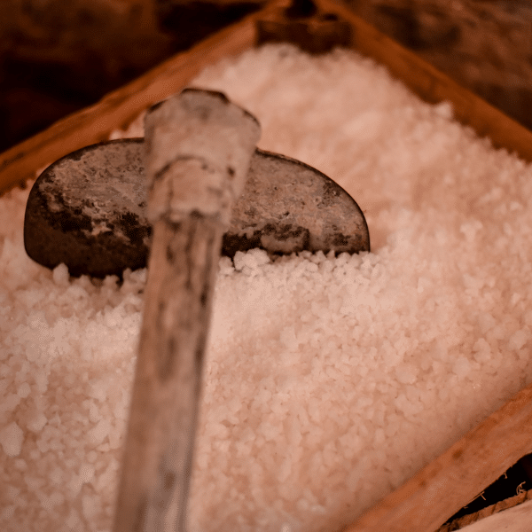 “Memórias Salgadas” no Mart: exposição celebra o&hellip;